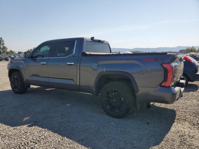  TOYOTA TUNDRA 2023 Сharcoal