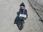 2005 HONDA CBR600 RR   for sale at Copart OR - EUGENE