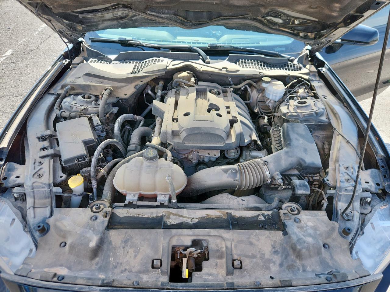 2019 Ford Mustang VIN: 1FA6P8TH0K5108975 Lot: 64136985