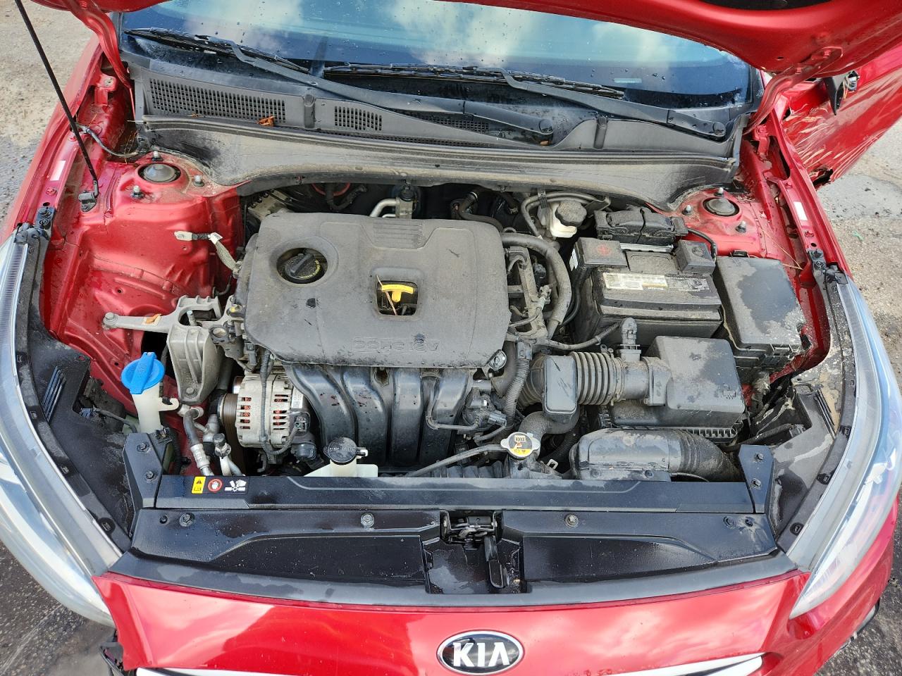 2019 Kia Forte Fe VIN: 3KPF24ADXKE036494 Lot: 65062885
