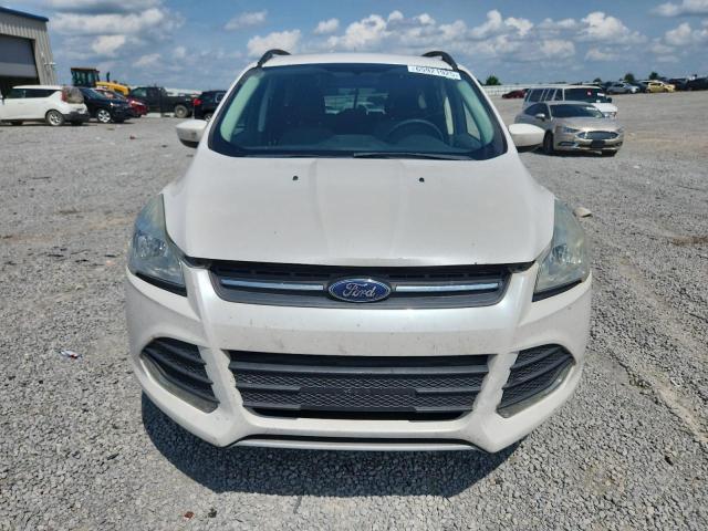 FORD ESCAPE 2016 Biały