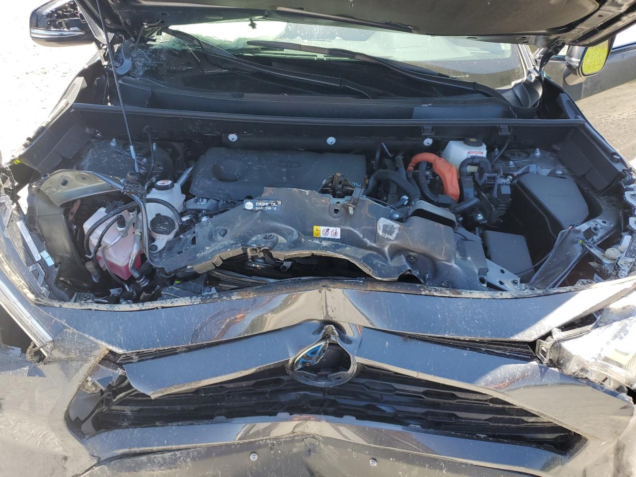 2024 Toyota Rav4 Xle Premium VIN: 2T3B6RFV8RW083006 Lot: 65147215