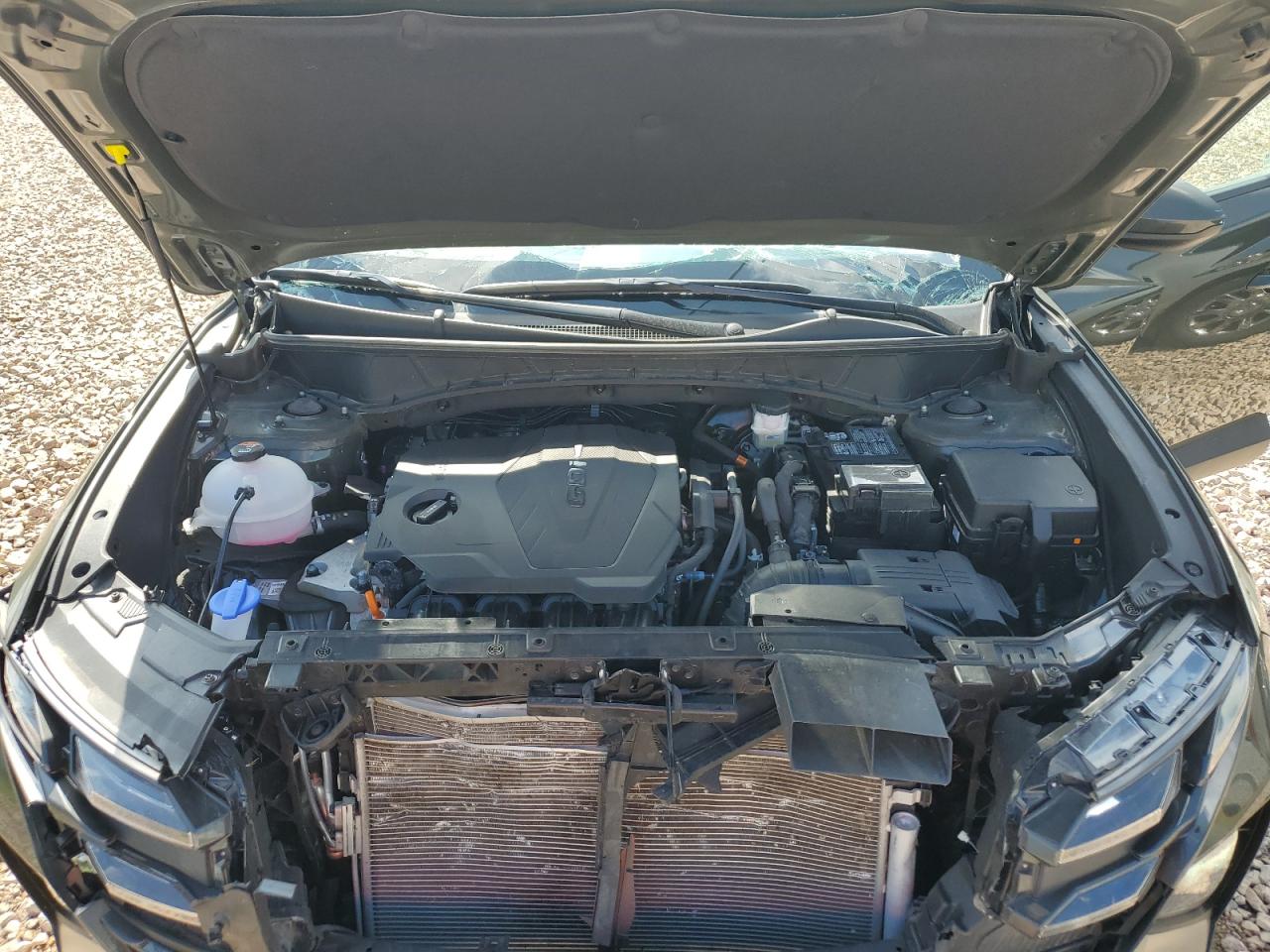 2025 Hyundai Tucson Sel VIN: 5NMJB3DE8SH461388 Lot: 65278855