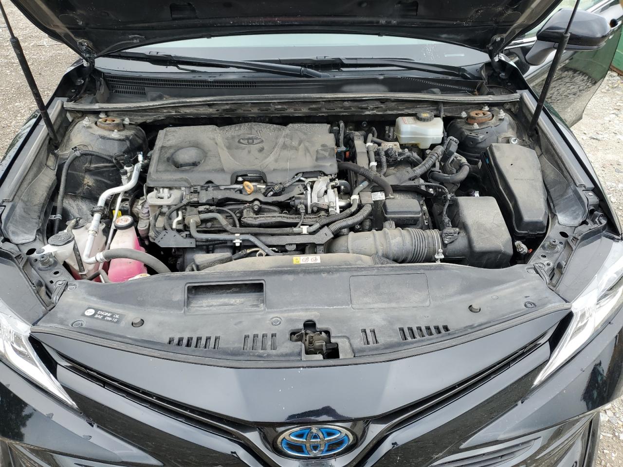 2020 Toyota Camry Le VIN: 4T1C31AK4LU519586 Lot: 65003755