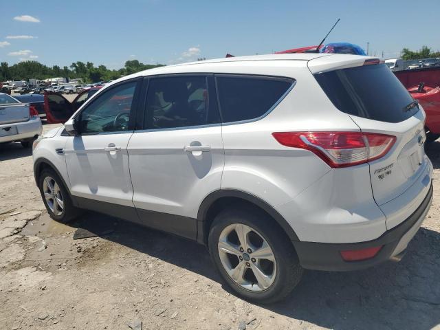 Parquets FORD ESCAPE 2014 White