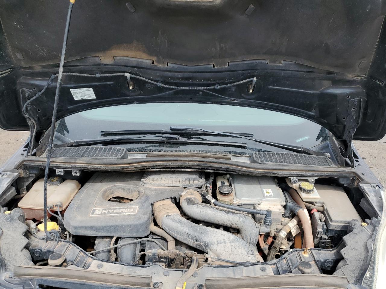 2015 Ford C-Max Sel VIN: 1FADP5BU2FL113231 Lot: 65473395