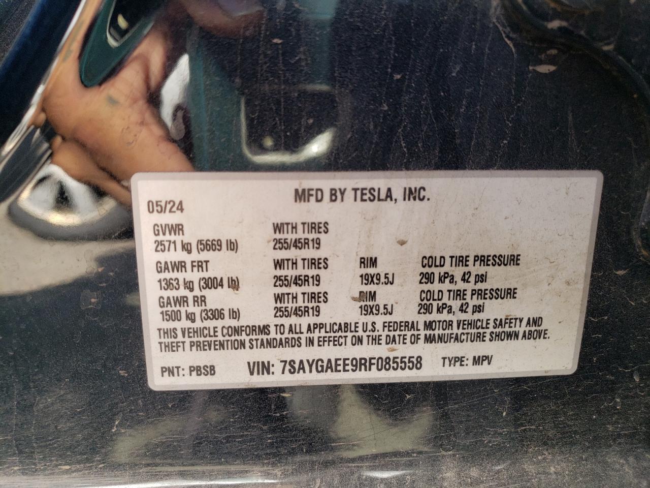 2024 Tesla Model Y VIN: 7SAYGAEE9RF085558 Lot: 64665165