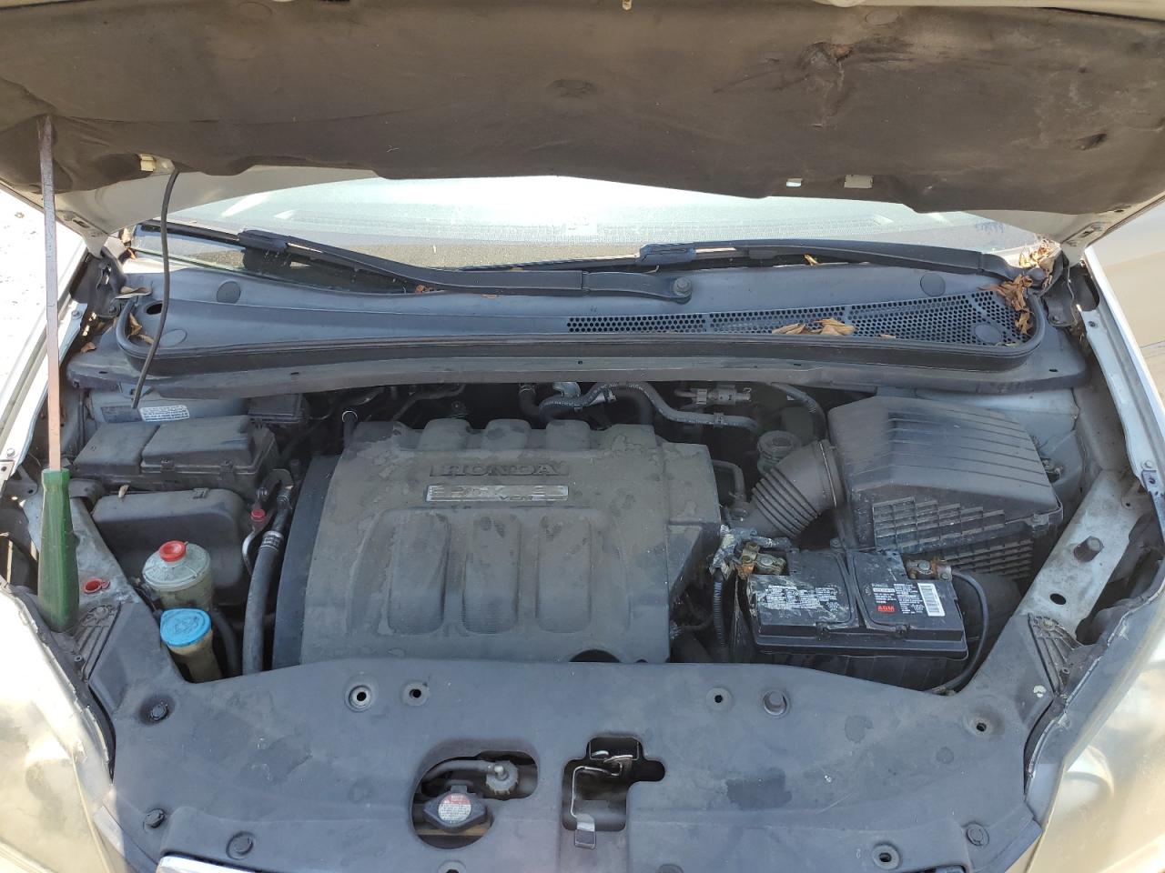 2006 Honda Odyssey Exl VIN: 5FNRL38796B086646 Lot: 65577165
