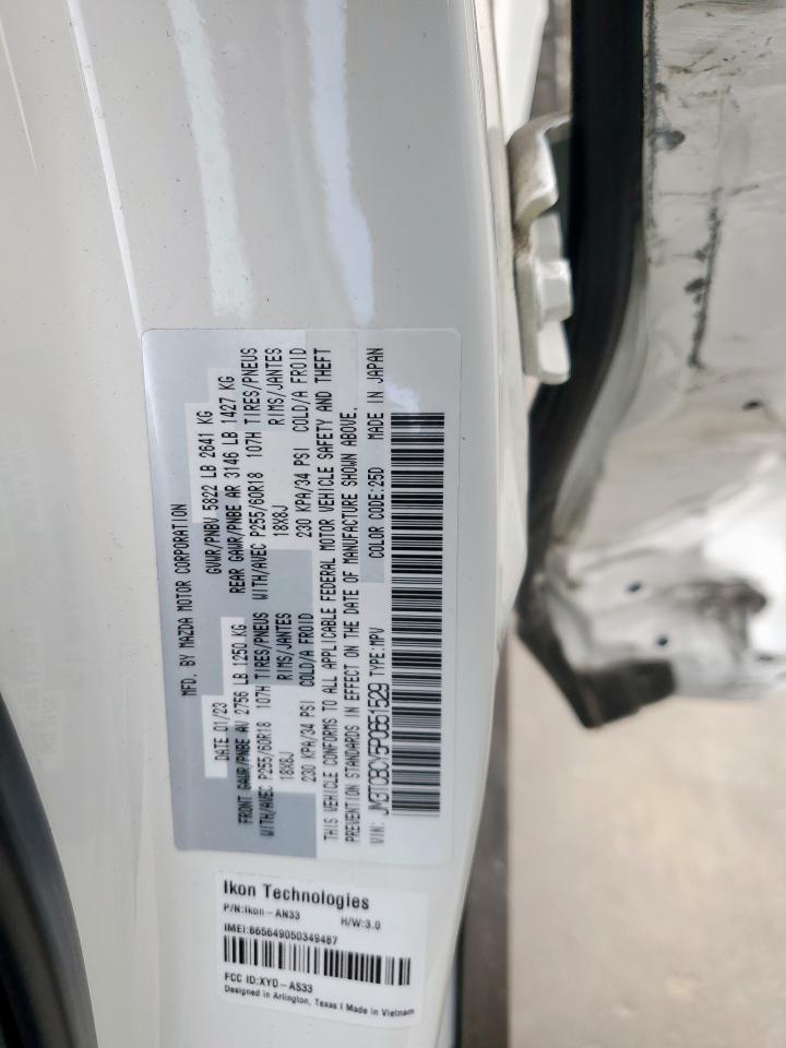 2023 Mazda Cx-9 Touring VIN: JM3TCBCY5P0651529 Lot: 65002575