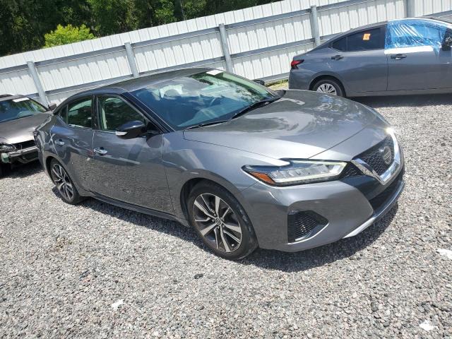  NISSAN MAXIMA 2020 Szary