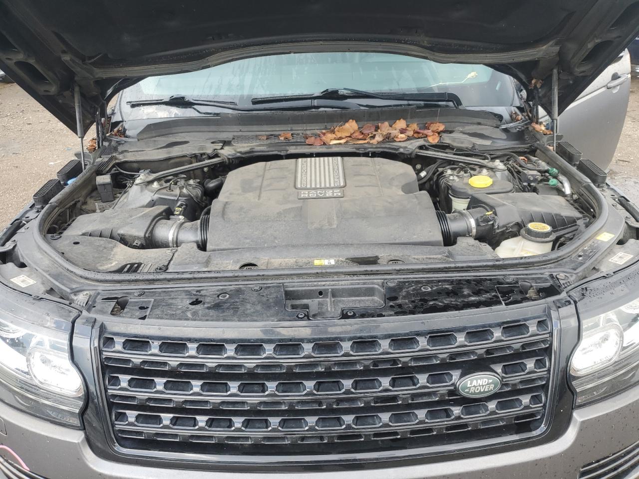 2014 Land Rover Range Rover Supercharged VIN: SALGS2TF0EA172849 Lot: 62932845