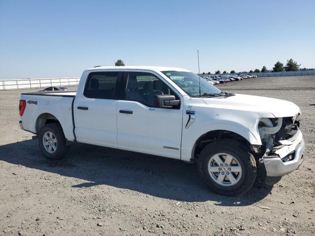  FORD F-150 2023 Biały