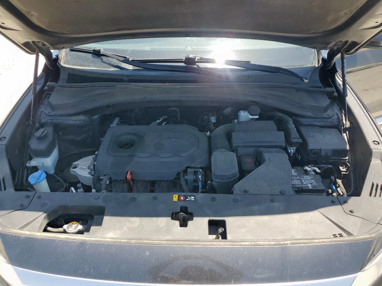 2020 Hyundai Santa Fe Sel VIN: 5NMS33AD0LH218141 Lot: 64048895