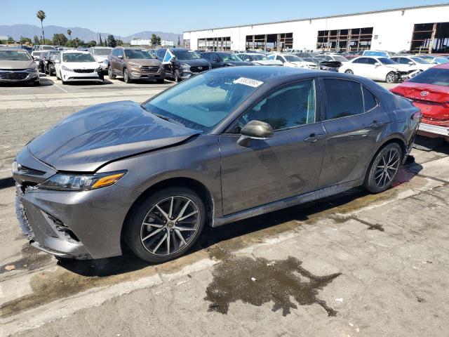  TOYOTA CAMRY 2023 Gray