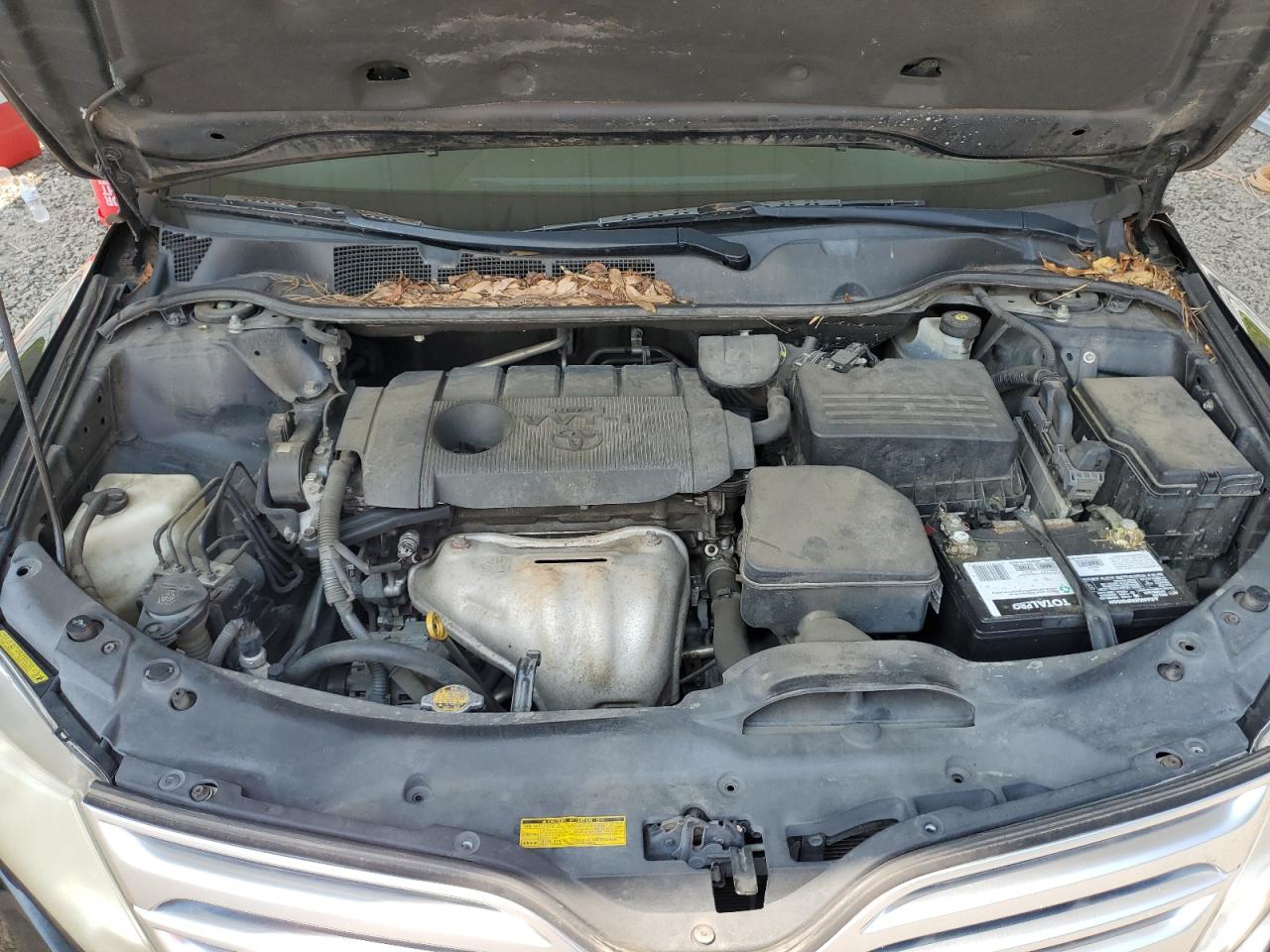 2010 Toyota Venza VIN: 4T3ZA3BB8AU037606 Lot: 61216385