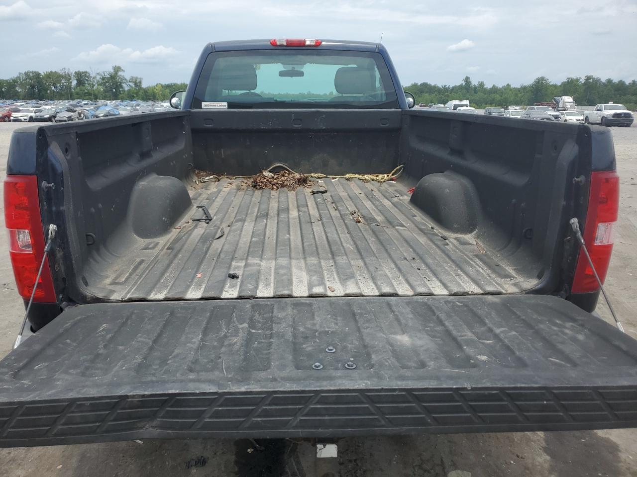 2011 Chevrolet Silverado C1500 VIN: 1GCNCPEX8BZ196229 Lot: 65546605