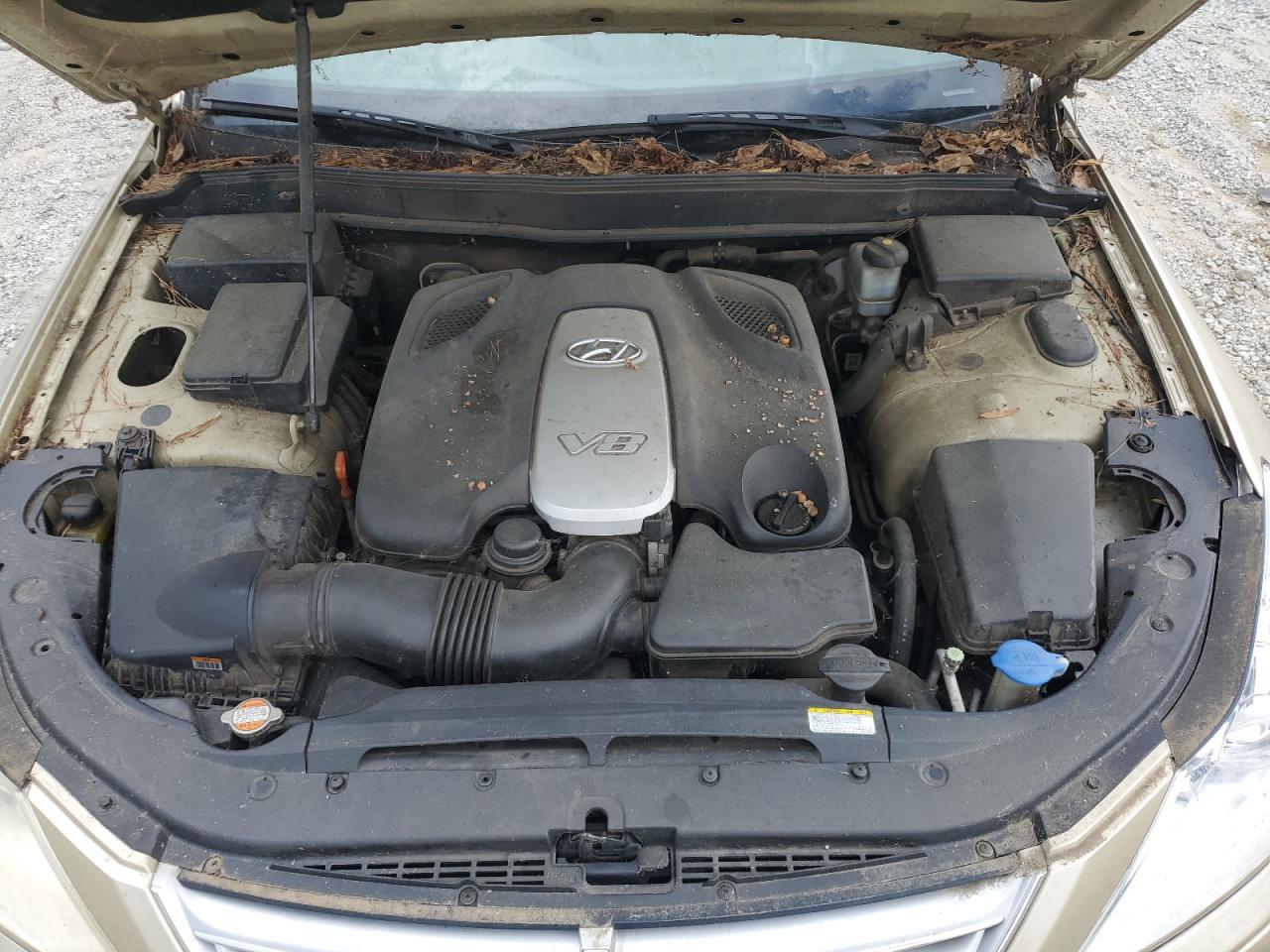 2009 Hyundai Genesis 4.6L VIN: KMHGC46F79U042238 Lot: 62972275