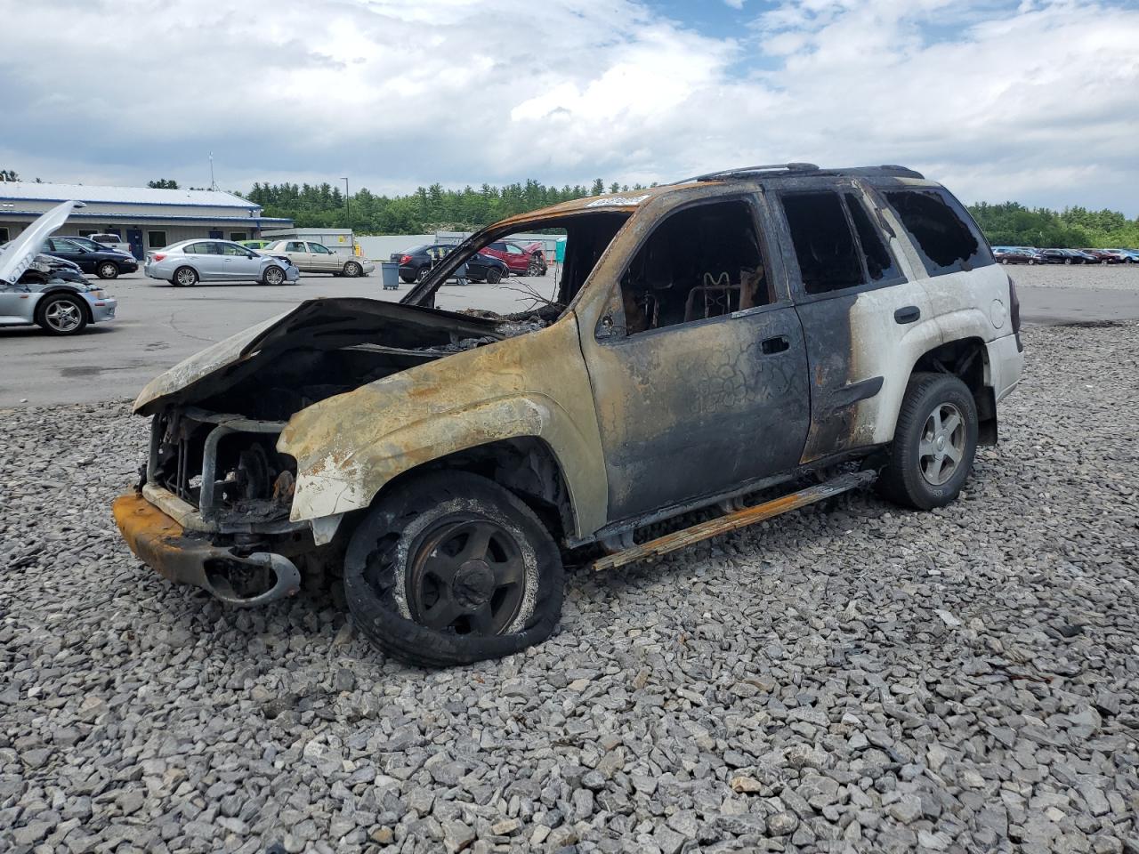 2004 Chevrolet Trailblazer Ls VIN: 1GNDT13S642159697 Lot: 62810295