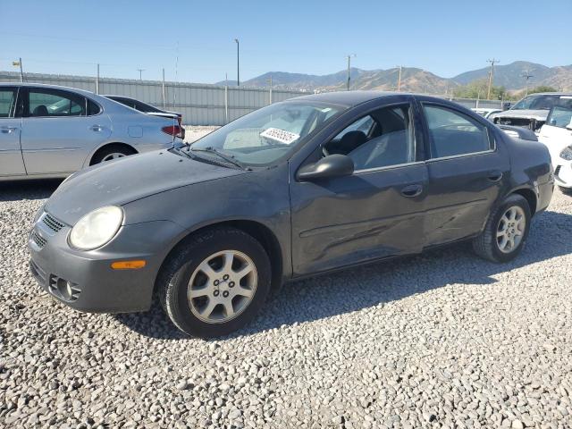 2004 Dodge Neon Sxt
