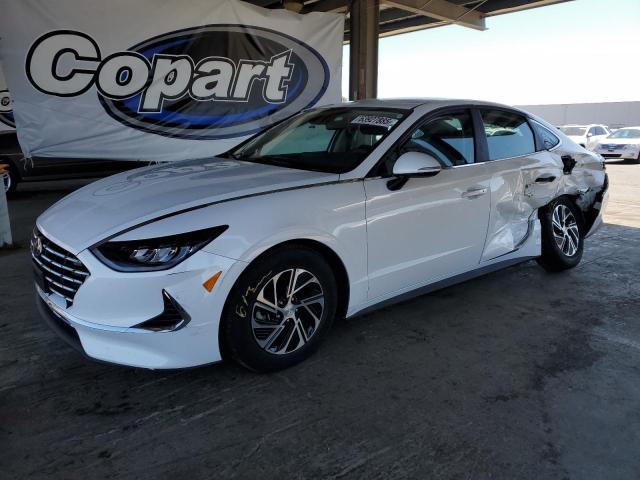 HYUNDAI SONATA HYB 2023