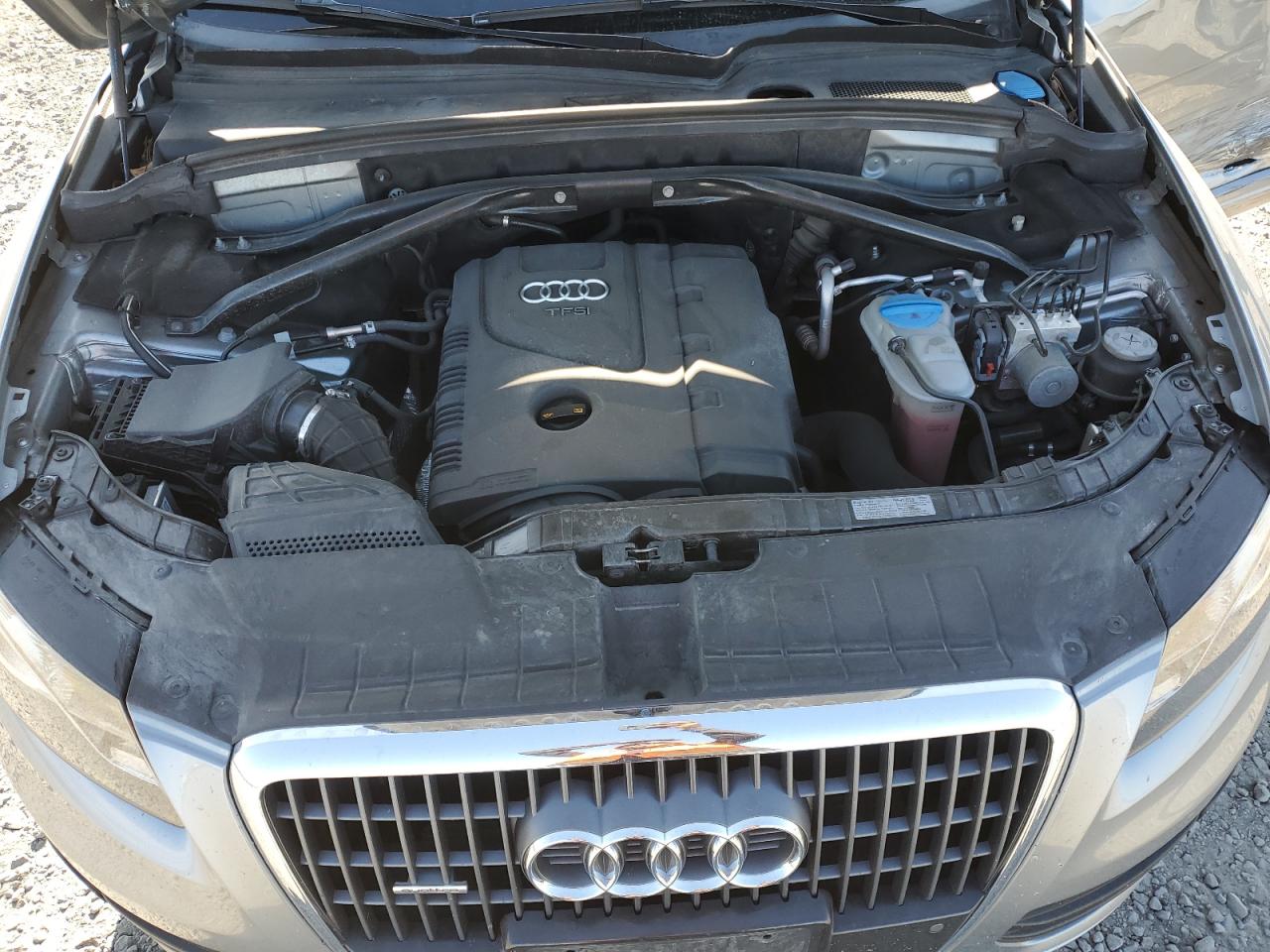 2011 Audi Q5 Premium Plus VIN: WA1LFAFPXBA004988 Lot: 64887795