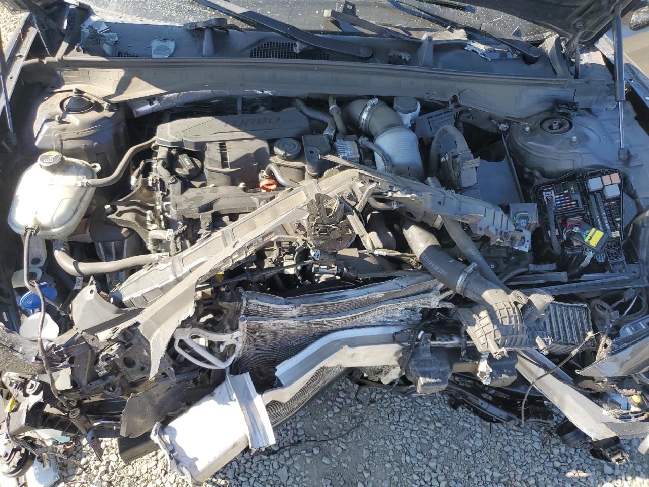 2021 Hyundai Sonata Sel Plus VIN: 5NPEJ4J24MH065694 Lot: 63404065