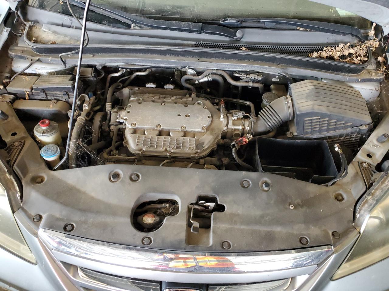 2005 Honda Odyssey Exl VIN: 5FNRL38735B117582 Lot: 64890105