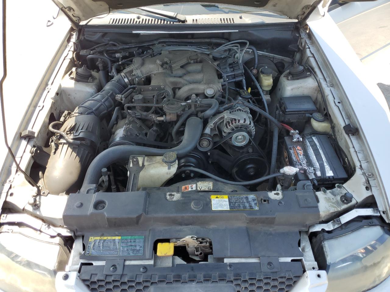2004 Ford Mustang VIN: 1FAFP40654F206490 Lot: 65175985
