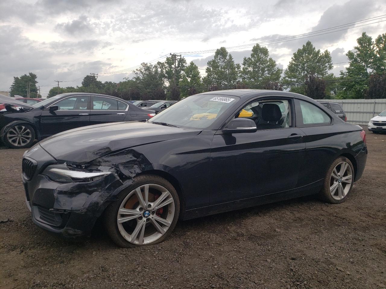 2015 BMW 228 Xi VIN: WBA1F7C56FVX96295 Lot: 65166865