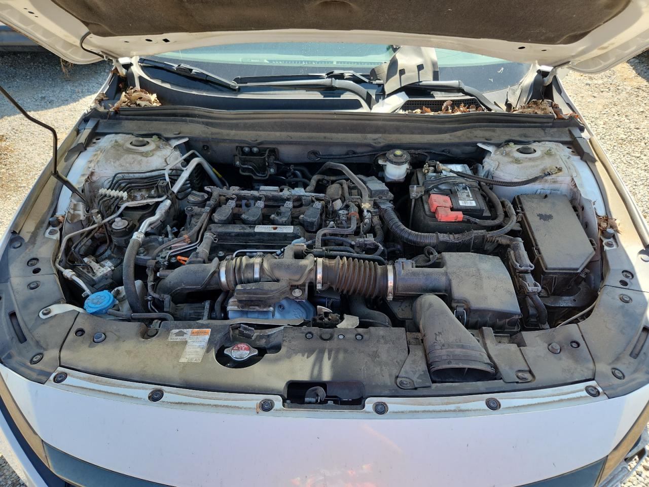 2019 Honda Accord Sport VIN: 1HGCV1F36KA156368 Lot: 64488825