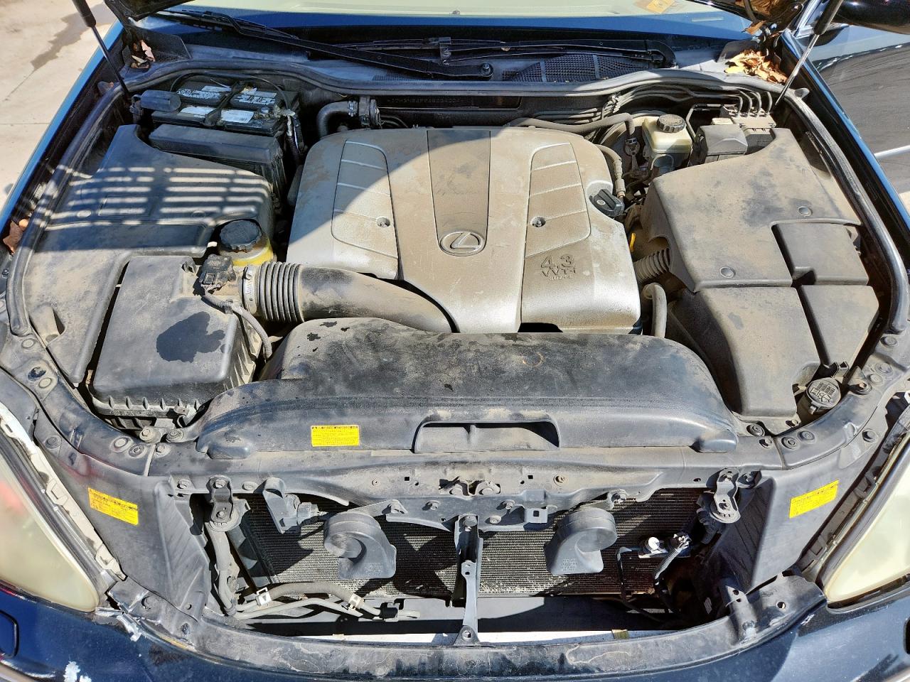 2006 Lexus Ls 430 VIN: JTHBN36F965034004 Lot: 64255545