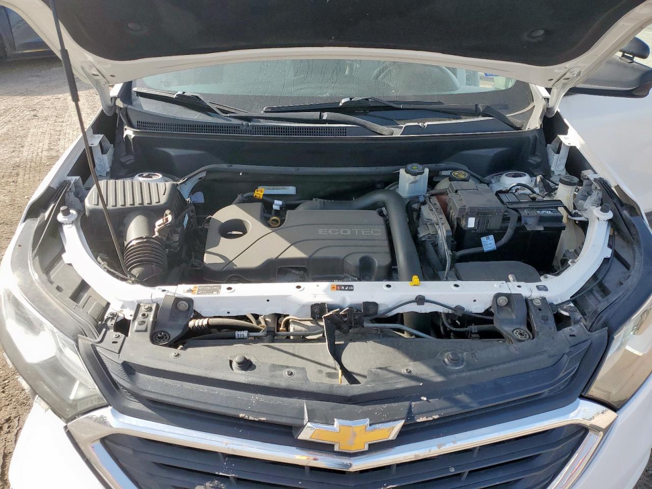 2019 Chevrolet Equinox Ls VIN: 2GNAXSEV8K6290134 Lot: 65201855