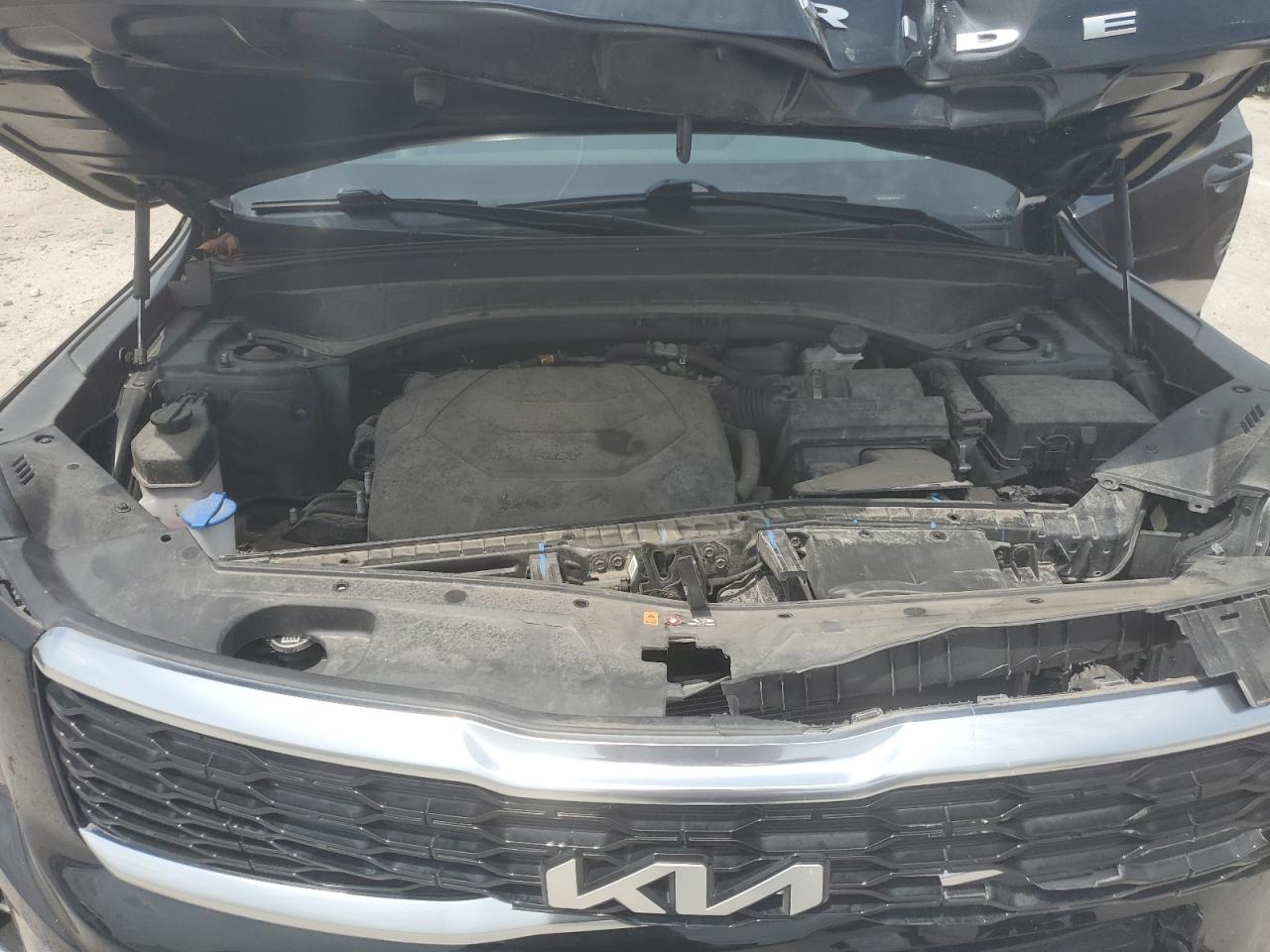 2022 Kia Telluride Ex VIN: 5XYP3DHCXNG261519 Lot: 64116335