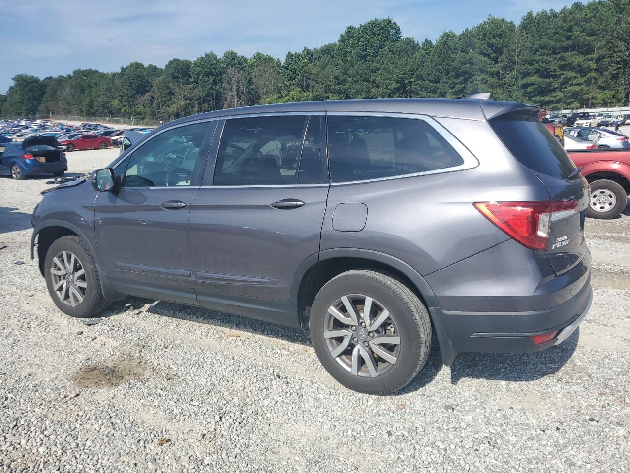 5FNYF5H50KB034846 HONDA PILOT 2019