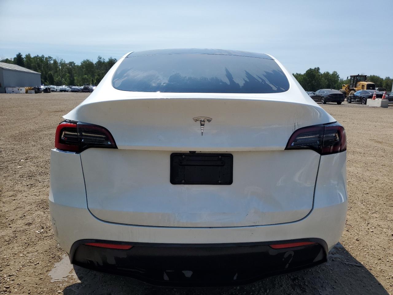 2024 Tesla Model Y VIN: 7SAYGDED1RF107643 Lot: 61617415