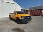 2015 CHEVROLET SILVERADO C1500   à vendre chez Copart ON - TORONTO