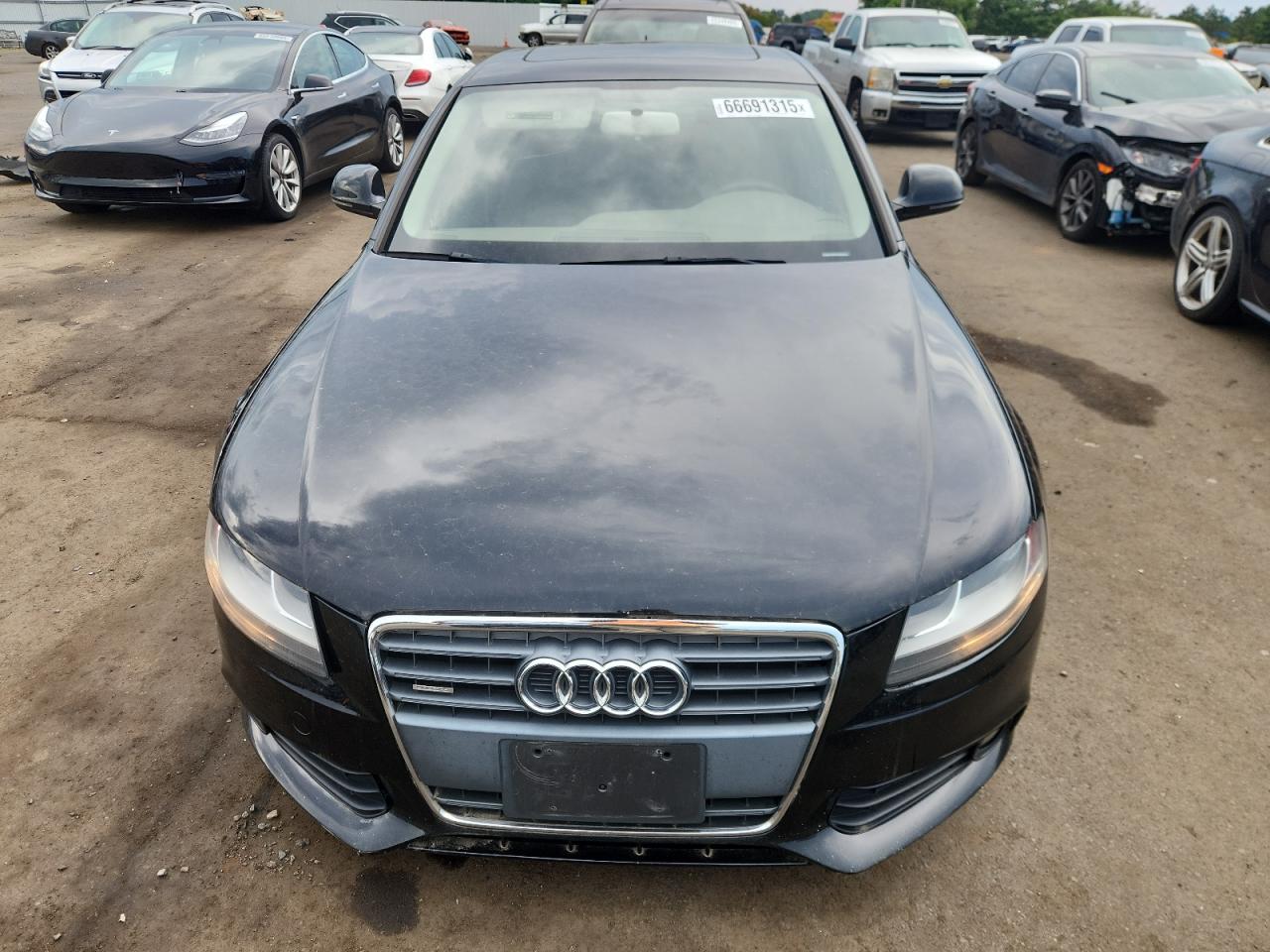 2009 Audi A4 2.0T Quattro VIN: WAULF78K79N014226 Lot: 66691315