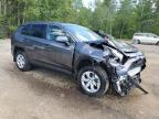 2024 TOYOTA RAV4 LE   for sale at Copart ON - COOKSTOWN