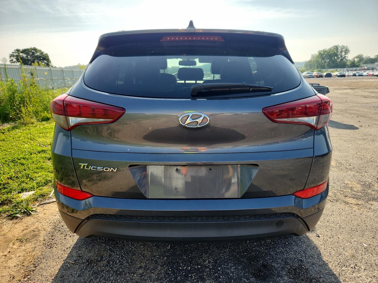 2017 Hyundai Tucson Limited VIN: KM8J33A41HU510341 Lot: 64876155