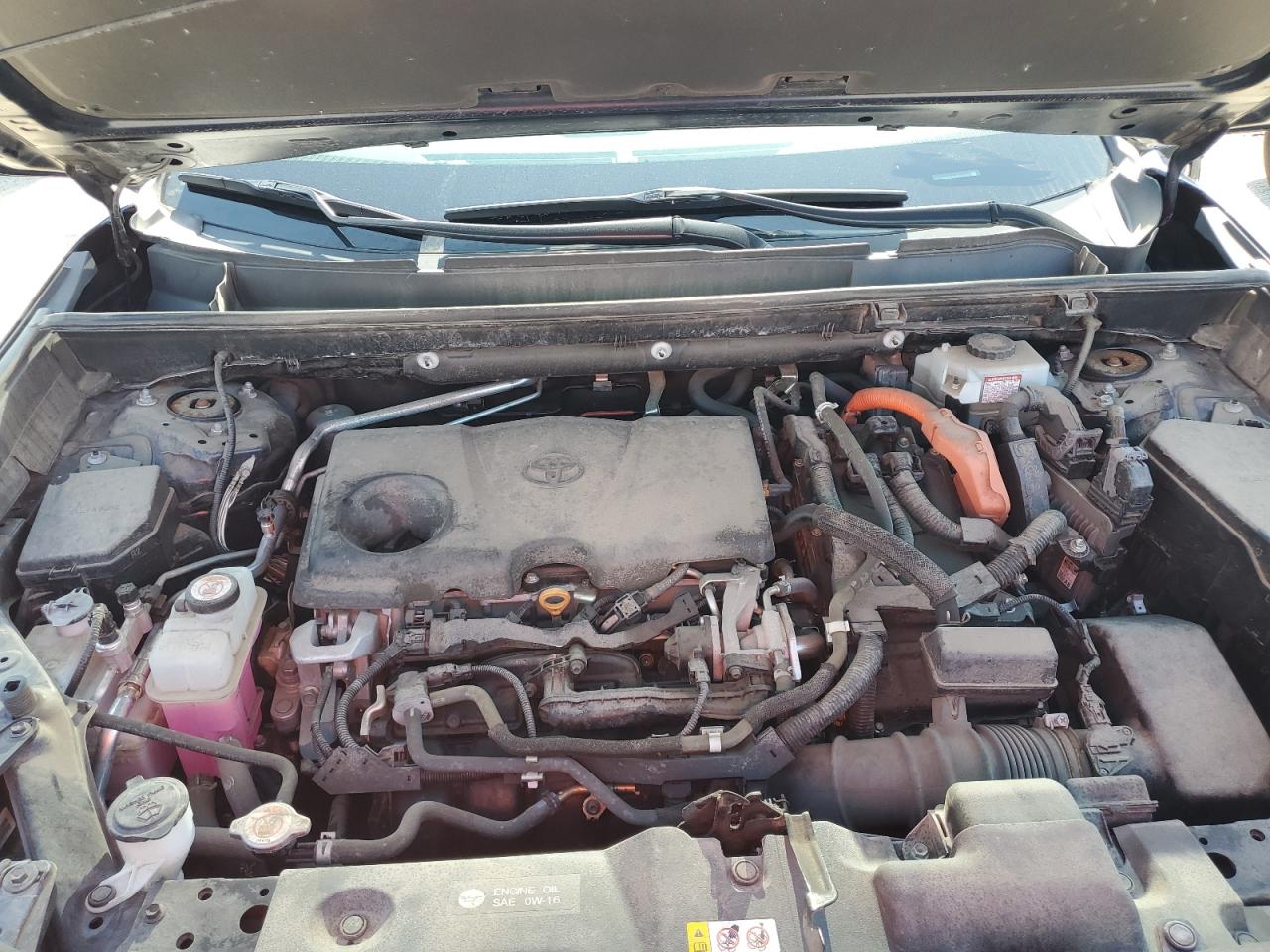 2020 Toyota Rav4 Xse VIN: 2T3EWRFV4LW081287 Lot: 65206955