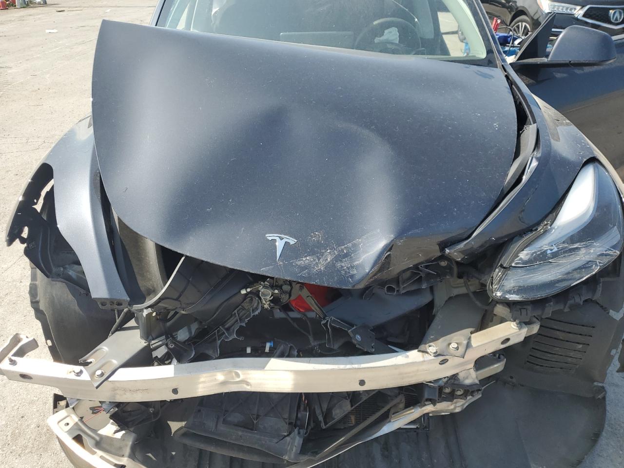 2024 Tesla Model Y VIN: 7SAYGDEE4RA244338 Lot: 66753375