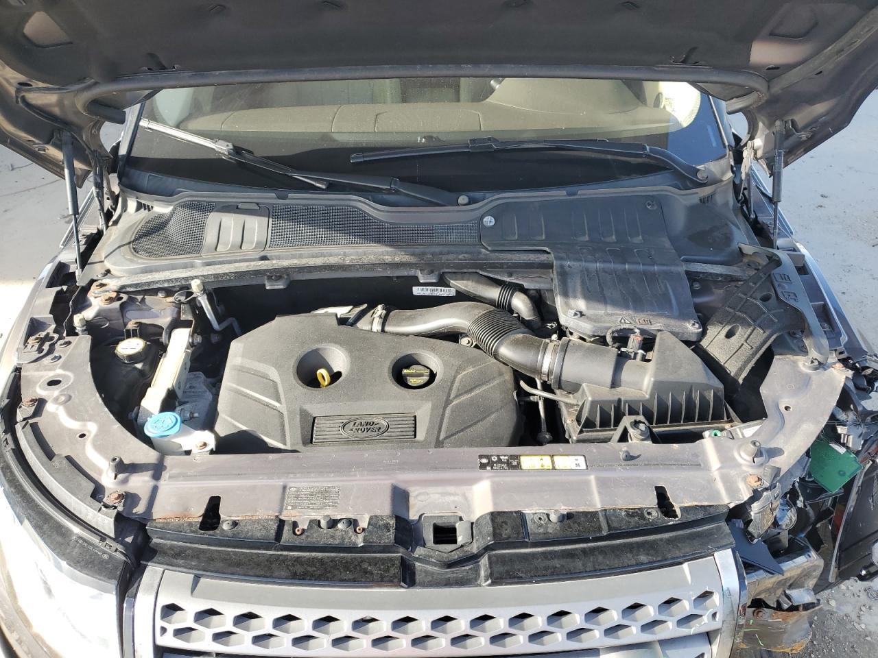 2016 Land Rover Range Rover Evoque Se VIN: SALVP2BG7GH081509 Lot: 64671595