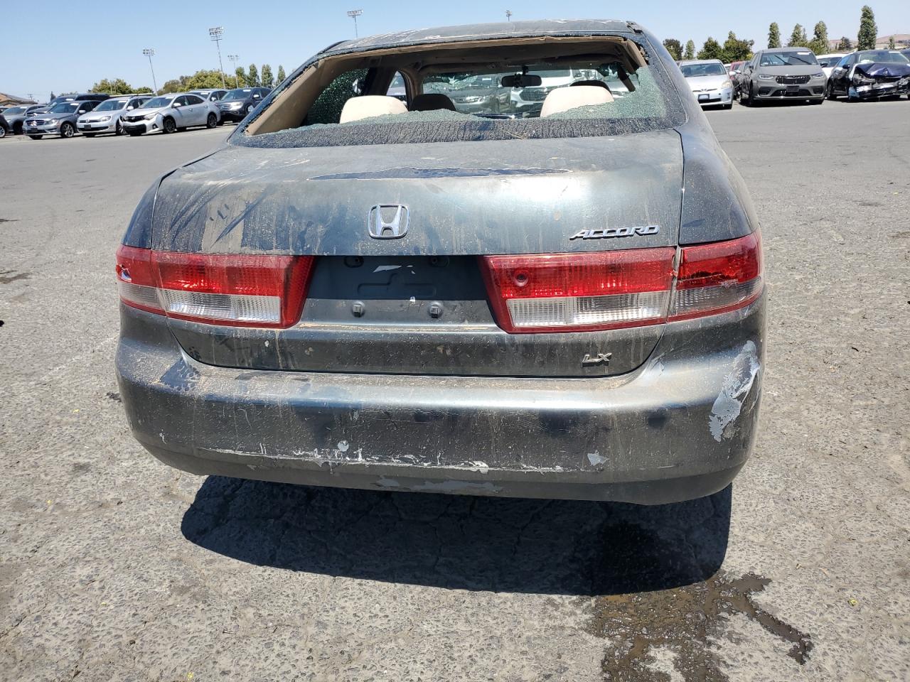 2004 Honda Accord Lx VIN: JHMCM56394C027670 Lot: 64776155