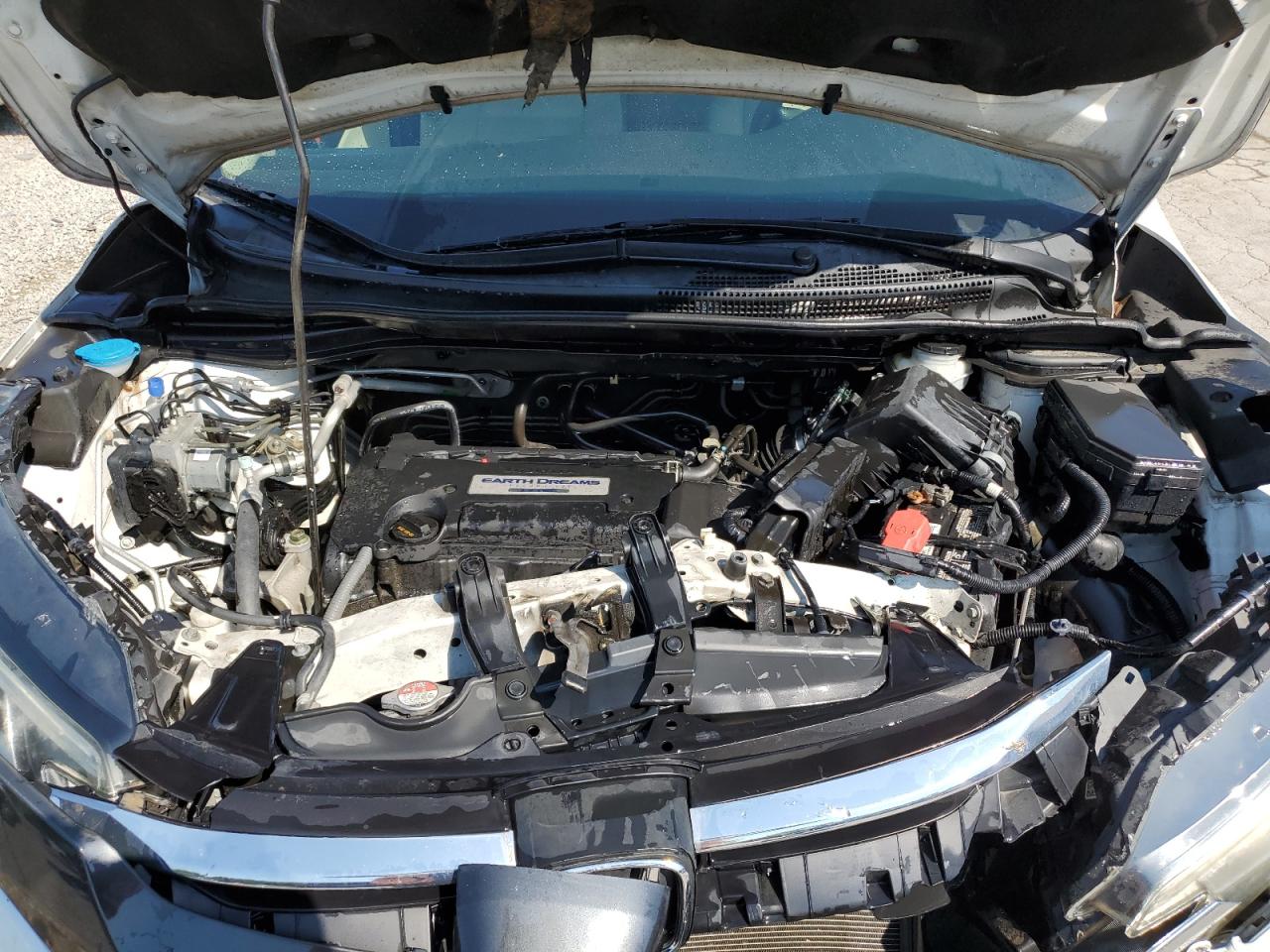 2015 Honda Cr-V Ex VIN: 5J6RM4H5XFL117296 Lot: 65339895