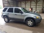 2007 FORD ESCAPE XLT   for sale at Copart ON - LONDON
