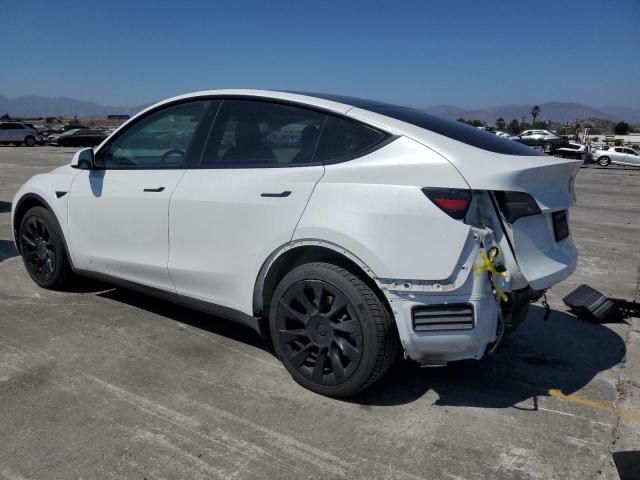  TESLA MODEL Y 2023 White