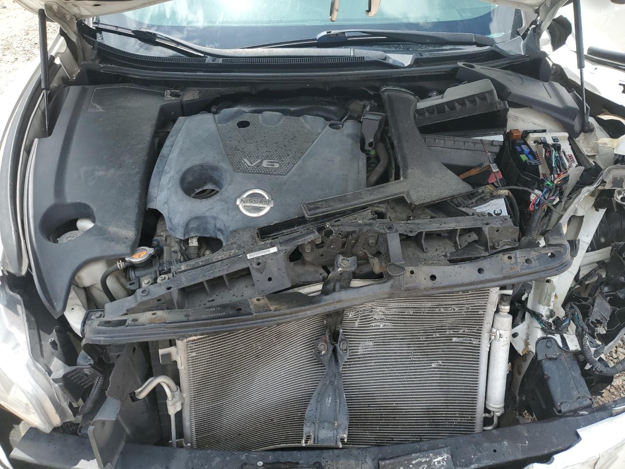 2010 Nissan Maxima S VIN: 1N4AA5AP0AC816903 Lot: 66373495