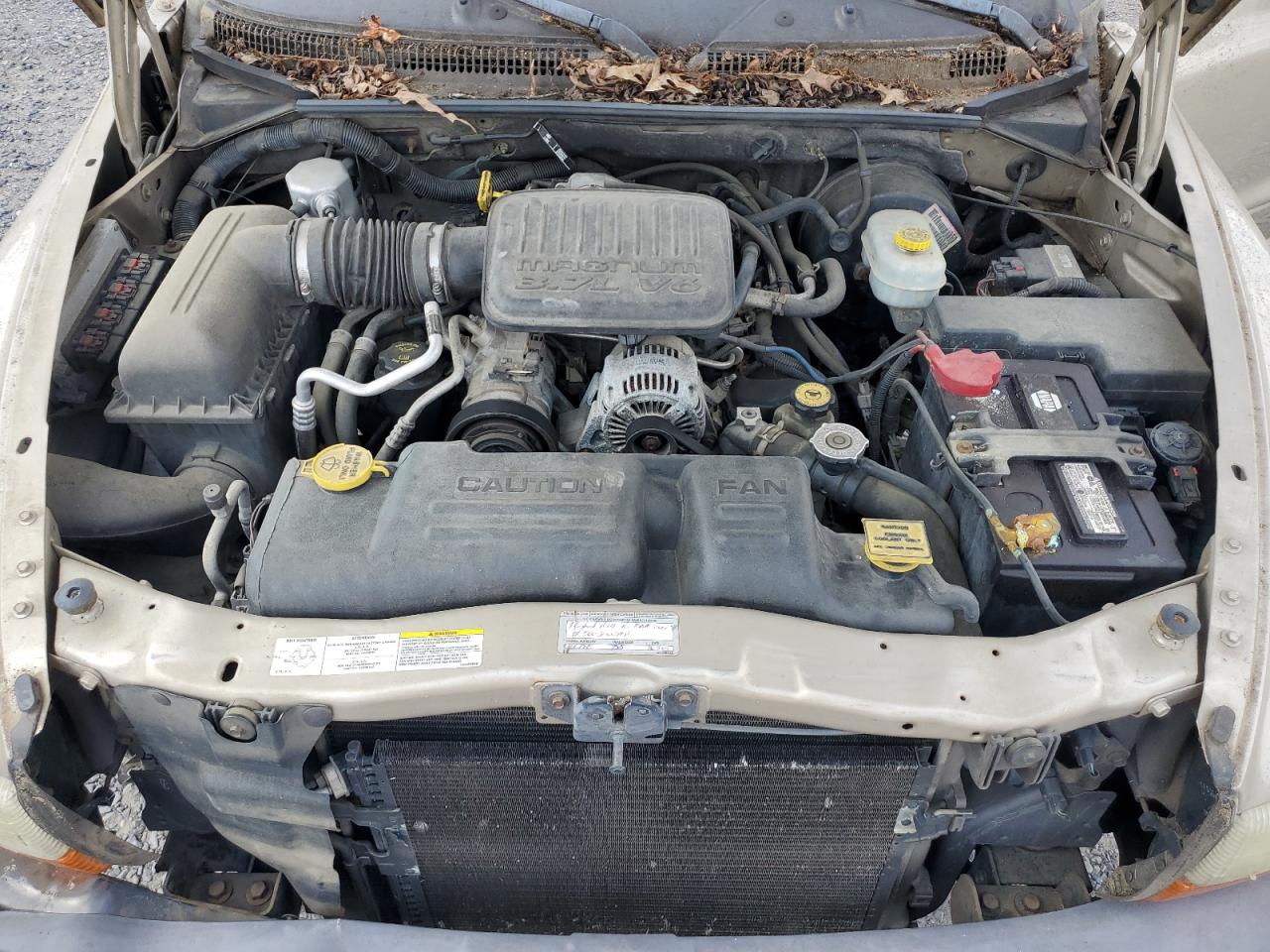 2004 Dodge Dakota Sxt VIN: 1D7GL12K04S719730 Lot: 64060545