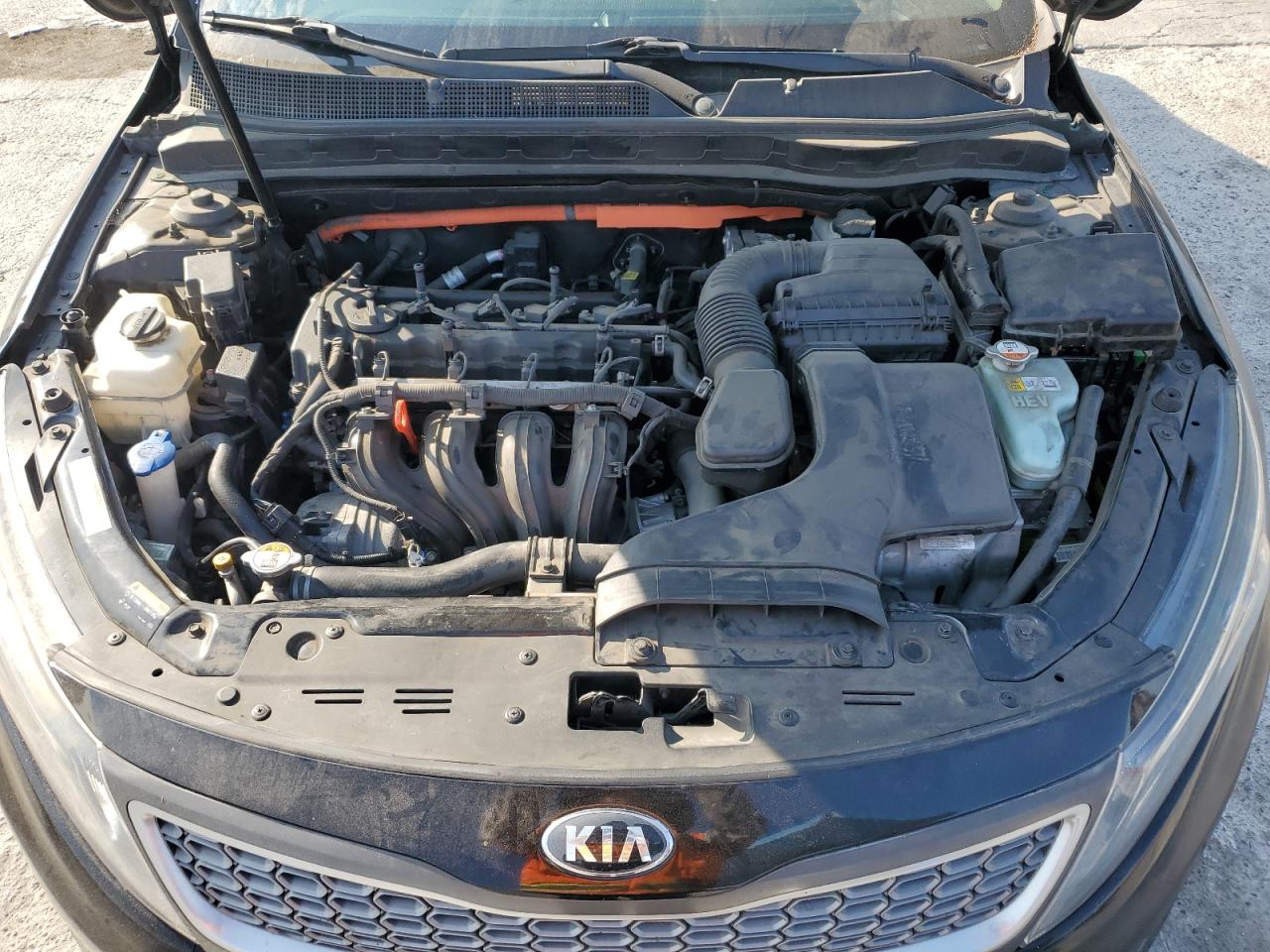 2015 Kia Optima Hybrid VIN: KNAGN4AD5F5080025 Lot: 65628165