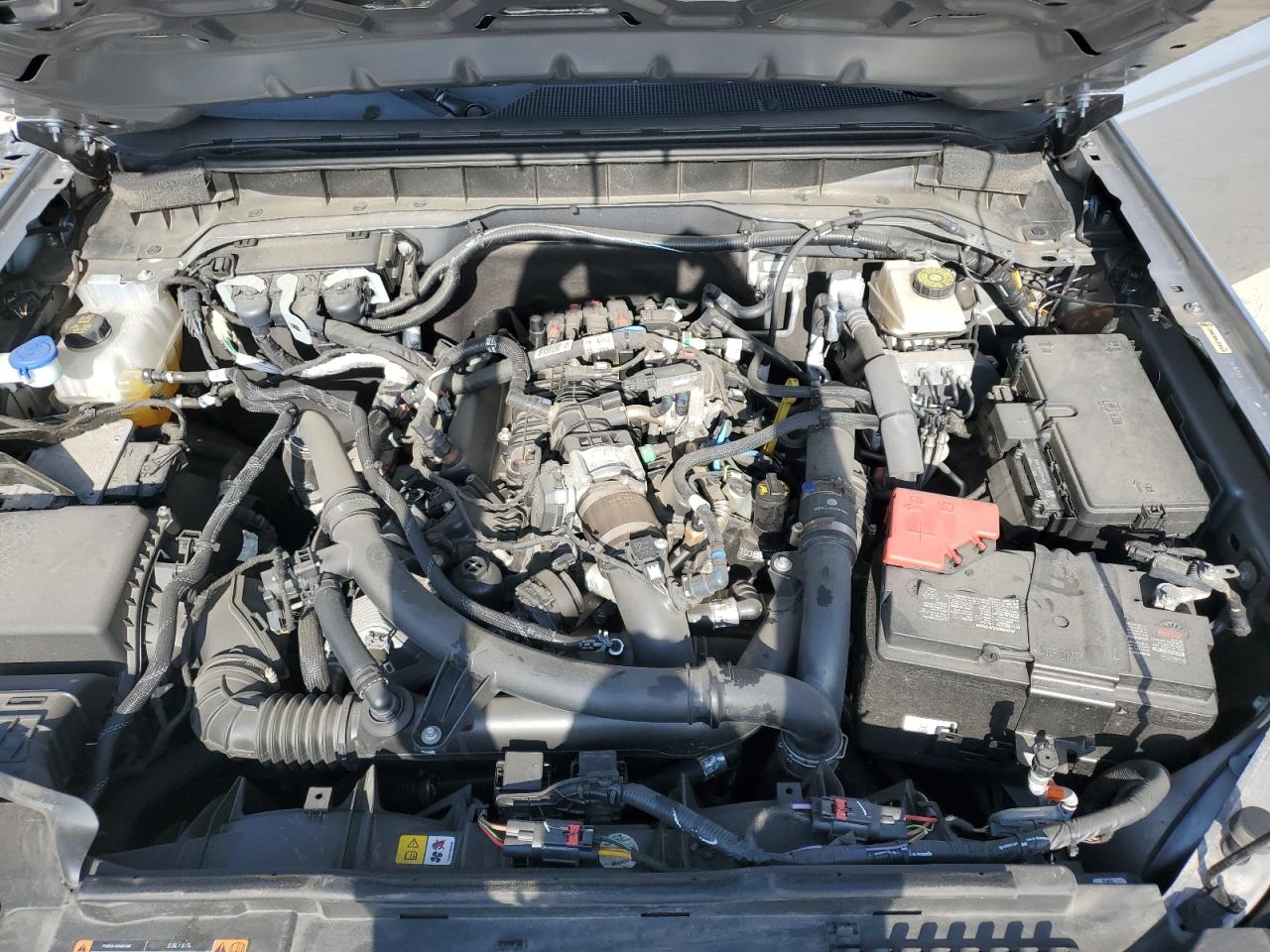 2023 Ford Bronco Base VIN: 1FMEE5BP4PLB16837 Lot: 65153025